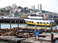 Pier 39 mit den berühmten Seelöwen