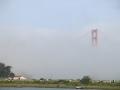 The Golden Gate Bridge is sourrounded by fog today