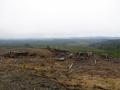 HOlzschlag, der mich an meine Monate in SE Asien erinnern - nur wird hier auch wieder aufgeforstet.