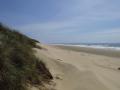 Hier gibts entlang des Meeres tolle Sanddünen!