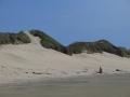 Hier gibts entlang des Meeres tolle Sanddünen!
