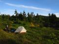 Nettes Wildcamping
