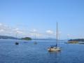 "Wasser und Wald"-Landschaften auf Vancouver Island
