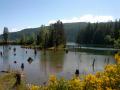 The nice Comox Lake