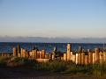 Coast at the evening