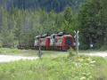Hier wird im grossen Stil Holz verarbeitet