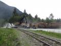 Hier wird im grossen Stil Holz verarbeitet
