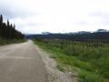 On 1200m asl already pretty close to the forest line