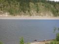 Der Klondike-River führt klares Wasser, während der Yukon braun daherkommt. Dies führt beim Zusammenfluss zu einem tollen Spektakel