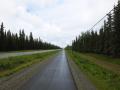 Nach einer Stunde auf der Strasse hört der Regen endlich auf. (Und ja, es gibt hier tatsächlich einen 30km langen Radweg dem Alaska-Highway entlang!!!)