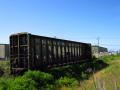 Lumber industries and abandoned trains in Eureka
