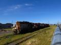 Lumber industries and abandoned trains in Eureka