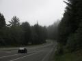 Foggy conditions in the morning